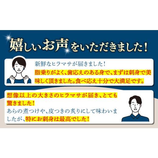 ふるさと納税 旬の鮮魚等 長崎県 壱岐市 壱岐島産天然ヒラマサ（5キロ台・丸もの） 《壱岐市》 壱岐島　玄海屋 JBS070 ヒラマサ 魚 刺身 煮物 カルパッチョ お…_6