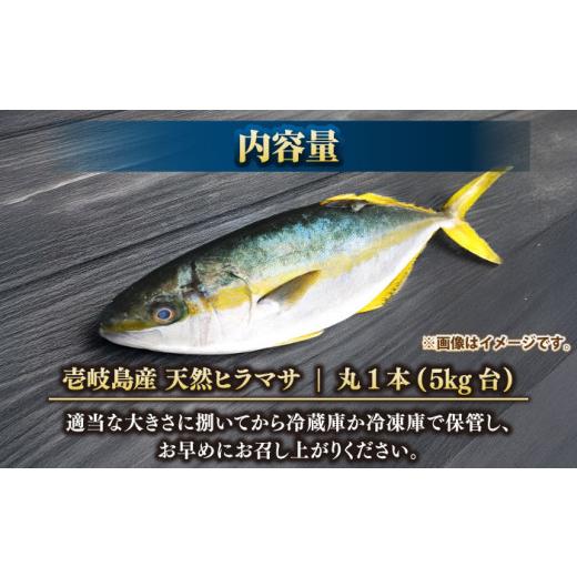 ふるさと納税 旬の鮮魚等 長崎県 壱岐市 壱岐島産天然ヒラマサ（5キロ台・丸もの） 《壱岐市》 壱岐島　玄海屋 JBS070 ヒラマサ 魚 刺身 煮物 カルパッチョ お…_7