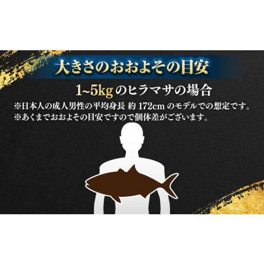 ふるさと納税 旬の鮮魚等 長崎県 壱岐市 壱岐島産天然ヒラマサ（5キロ台・丸もの） 《壱岐市》 壱岐島　玄海屋 JBS070 ヒラマサ 魚 刺身 煮物 カルパッチョ お…_8