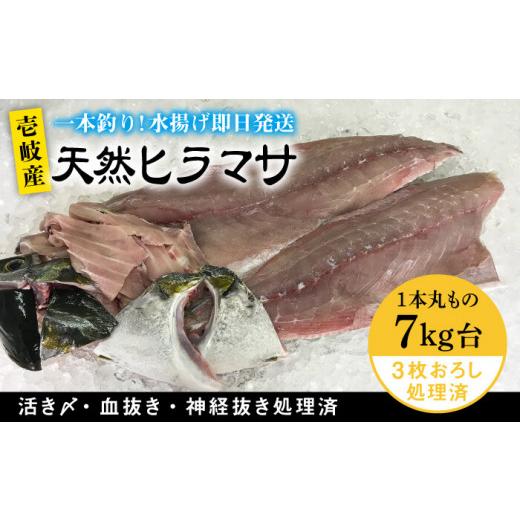 ふるさと納税 長崎県 壱岐市 壱岐島産天然ヒラマサ（7キロ台・三枚おろし） 《壱岐市》【壱岐島　玄海屋】[JBS080] ヒラマサ 魚 刺身 煮物 カルパッチョ お寿…｜furusatochoice｜02