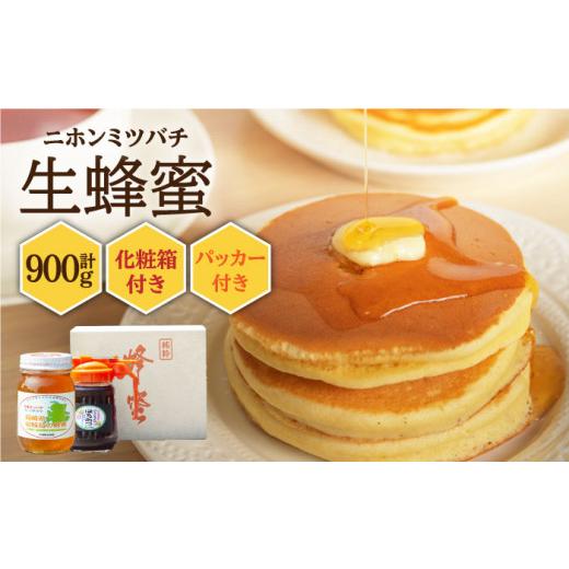 ふるさと納税 加工品等 はちみつ 長崎県 壱岐市  先行予約 ニホンミツバチ 生蜂蜜 600g×1（パッカー300g・化粧箱付き） 2026年6月中旬以降順次発送 《壱岐市…の画像