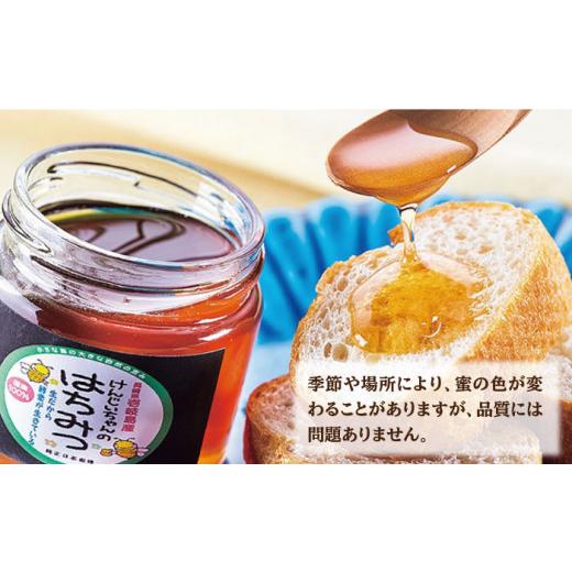 ふるさと納税 加工品等 はちみつ 長崎県 壱岐市  先行予約 ニホンミツバチ 生蜂蜜 600g×1（パッカー300g・化粧箱付き） 2026年6月中旬以降順次発送 《壱岐市…の画像