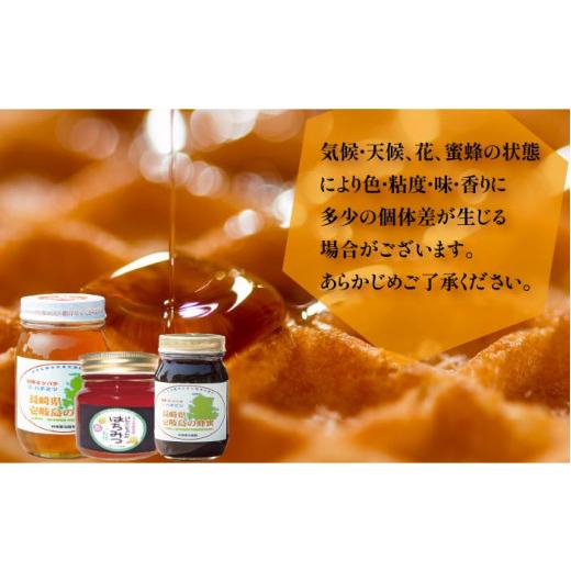 ふるさと納税 加工品等 はちみつ 長崎県 壱岐市  先行予約 ニホンミツバチ 生蜂蜜 600g×1（パッカー300g・化粧箱付き） 2026年6月中旬以降順次発送 《壱岐市…の画像