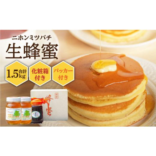 ふるさと納税 加工品等 はちみつ 長崎県 壱岐市  先行予約 ニホンミツバチ 生蜂蜜 600g×2（パッカー300g・化粧箱付き） 2026年6月中旬以降順次発送 《壱岐市…の画像