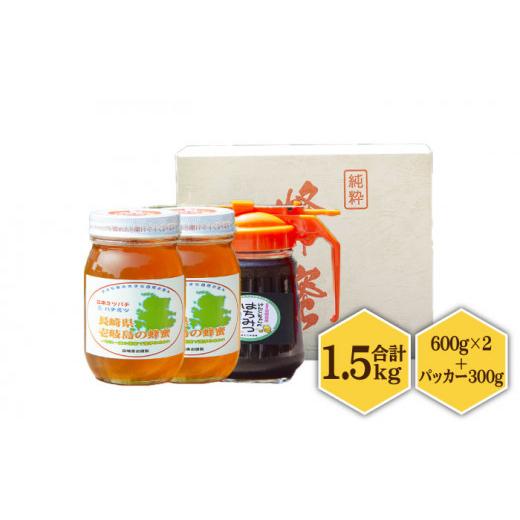 ふるさと納税 加工品等 はちみつ 長崎県 壱岐市  先行予約 ニホンミツバチ 生蜂蜜 600g×2（パッカー300g・化粧箱付き） 2026年6月中旬以降順次発送 《壱岐市…の画像