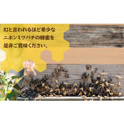 ふるさと納税 加工品等 はちみつ 長崎県 壱岐市  先行予約 ニホンミツバチ 生蜂蜜 600g×2（パッカー300g・化粧箱付き） 2026年6月中旬以降順次発送 《壱岐市…の画像