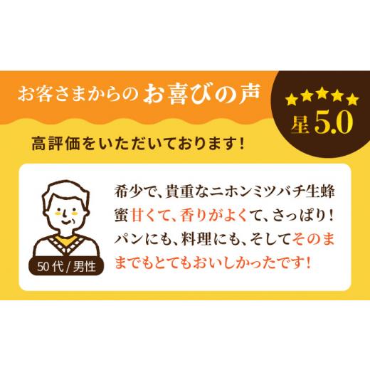 ふるさと納税 加工品等 はちみつ 長崎県 壱岐市  先行予約 ニホンミツバチ 生蜂蜜 600g×2（パッカー300g・化粧箱付き） 2026年6月中旬以降順次発送 《壱岐市…の画像
