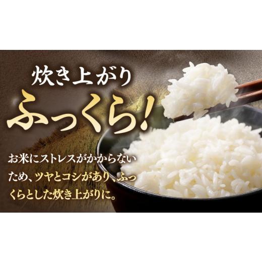 ふるさと納税 長崎県 壱岐市 天日自然乾燥米 こしひかり 5kg 《壱岐市》【長米壱岐営業所】[JCZ001] 米 白米 精米 ごはん ご飯 コシヒカリ 5キロ 9000 9000円｜furusatochoice｜05