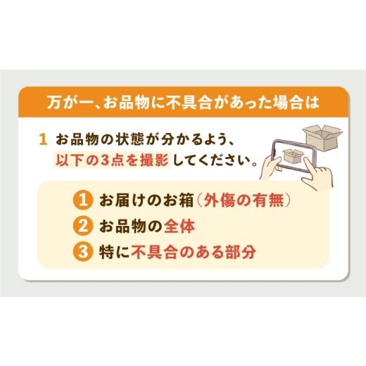 ふるさと納税 体験チケット 長崎県 壱岐市 壱岐島内観光ガイド券（2時間程度） 《壱岐市》 島旅地元ガイド　中山忠治 JDE004 15000 15000円_5