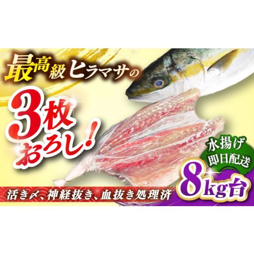 ふるさと納税 旬の鮮魚等 長崎県 壱岐市 壱岐島産天然ヒラマサ(8キロ台・三枚おろし) [壱岐市] 壱岐島 玄海屋 JBS081 ヒラマサ 魚 刺身 煮物 カルパッチ…