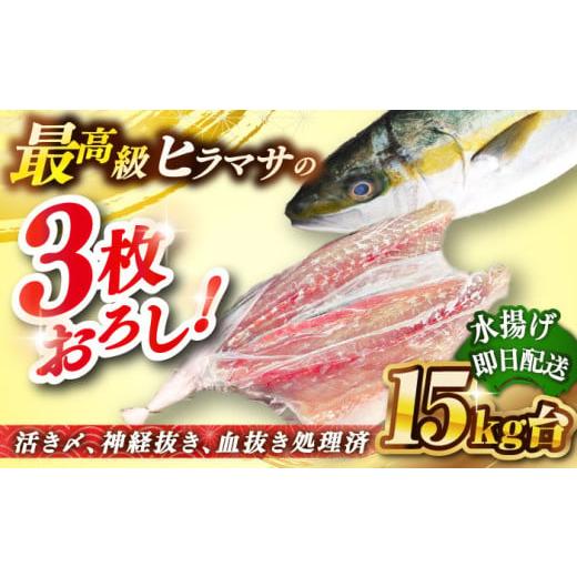 ふるさと納税 旬の鮮魚等 長崎県 壱岐市 壱岐島産天然ヒラマサ(15キロ台・三枚おろし) [壱岐市] 壱岐島 玄海屋 JBS084 ヒラマサ 魚 刺身 煮物 カルパッチ…