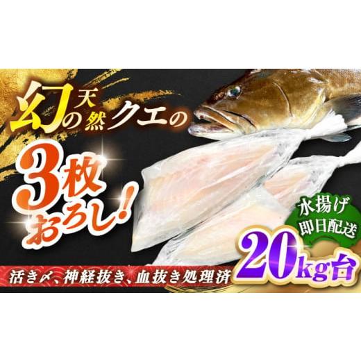 ふるさと納税 旬の鮮魚等 長崎県 壱岐市 天然クエ(20キロ台・3枚おろし) [壱岐市] 壱岐島 玄海屋 JBS094 201万 2000000 2000000円 200万円 20キロ台