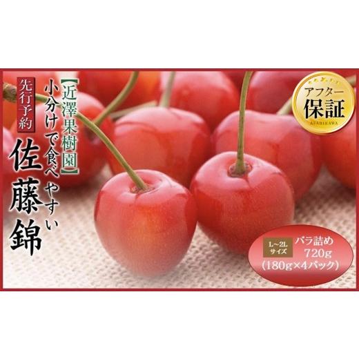 ふるさと納税 果物類 さくらんぼ 北海道 旭川市 先行予約 農家直送 小分けで食べやすい「佐藤錦」L~2Lサイズ バラ詰め720g(180g×4パック)(2026年7月上旬…