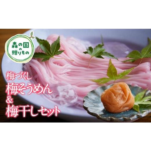 ふるさと納税 そうめん 愛媛県 松野町 松野町産 南高梅使用 香りひろがる梅そうめん・梅干しセット うす塩味(500g) | 梅干し 梅 うめ 南高梅 しそ漬 肉厚 …