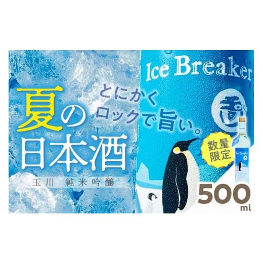 ふるさと納税 京都府 京丹後市 玉川 純米吟醸 Ice Breaker 500ml