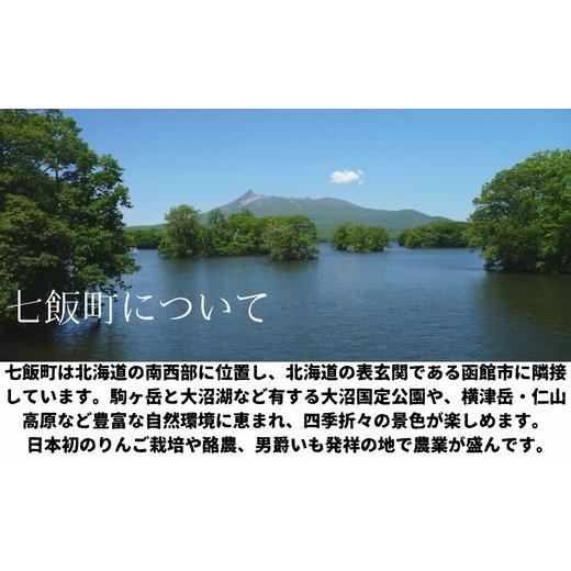 ふるさと納税 加工品等 はちみつ 北海道 七飯町 完熟生はちみつ ガロはちみつ・初夏（アカシア）（80g）10瓶セット お料理にも使える ふるさと納税 人気 おす…の画像