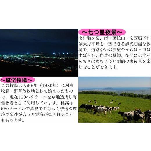 ふるさと納税 加工品等 はちみつ 北海道 七飯町 完熟生はちみつ ガロはちみつ・初夏（アカシア）（80g）10瓶セット お料理にも使える ふるさと納税 人気 おす…の画像