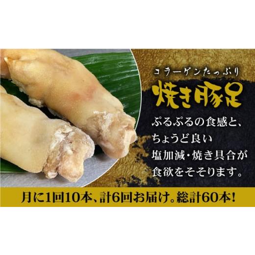 ふるさと納税 豚肉 佐賀県 吉野ヶ里町 地元人気店の味 とろけるとんそく 6回定期便 国産焼き豚足10本セット×6回 やきとり紋次郎 FCJ023_2