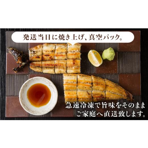 ふるさと納税 うなぎ 佐賀県 吉野ヶ里町 ふっくらジューシーのこだわりうなぎ 3回定期便 国産うなぎの白焼 6枚セット×3回 丸安 FAD018_2