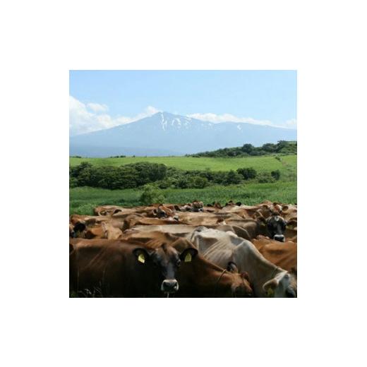 ふるさと納税 飲料類 乳飲料 秋田県 にかほ市 900ml×4本 無糖の飲むヨーグルト「生菌ヨーグルト」_6