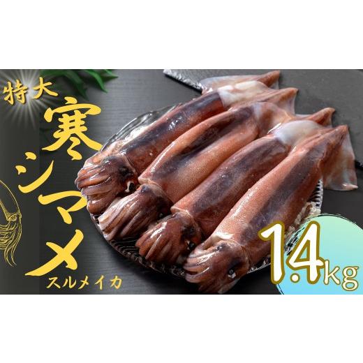 ふるさと納税 イカ 島根県 海士町 朝どれ寒シマメ 特大サイズ 4〜5杯 1.4kg〜1.6kg いか イカ スルメイカ 寒シマメ 朝どれ寒シマメ 御歳暮 ギフト 朝どれ寒シ…