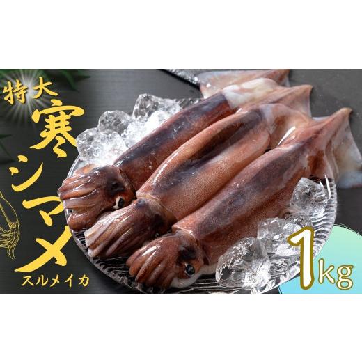 ふるさと納税 イカ 島根県 海士町 朝どれ寒シマメ 特大サイズ 3〜4杯 1kg〜1.2kg いか イカ スルメイカ 寒シマメ 朝どれ寒シマメ 御歳暮 ギフト 朝どれ寒シマ…