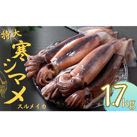 ふるさと納税 イカ 島根県 海士町 寒シマメ 特大サイズ 5〜6杯 1.7kg~2kg いか イカ スルメイカ 朝どれ寒シマメ 御歳暮 ギフト 寒シマメ 特大サイズ 5〜6杯 1…