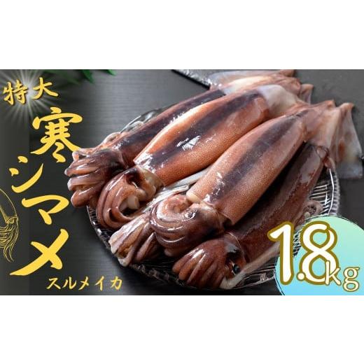 ふるさと納税 島根県 海士町 【寒シマメ 特大サイズ  まるごと5杯セット】  1.7kg〜2kg  いか イカ スルメイカ 朝どれ寒シマメ 父の日 母の日 バーベキュー ギ…｜furusatochoice｜02