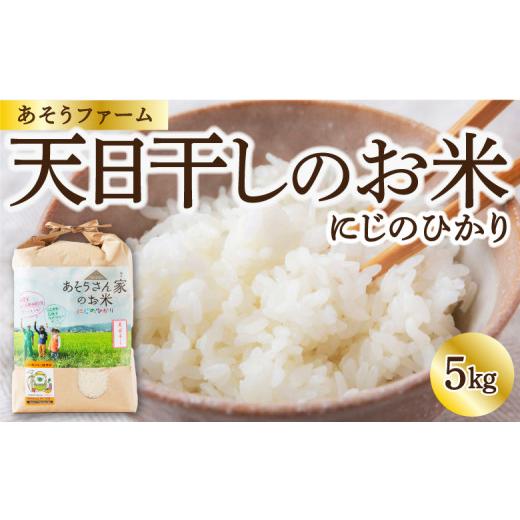 ふるさと納税 米 福岡県 うきは市 令和7年産 天日干しのお米 (にじのひかり) 白米 5kg お米 こめ 精米 ごはん ご飯 福岡県産 福岡県 うきは市