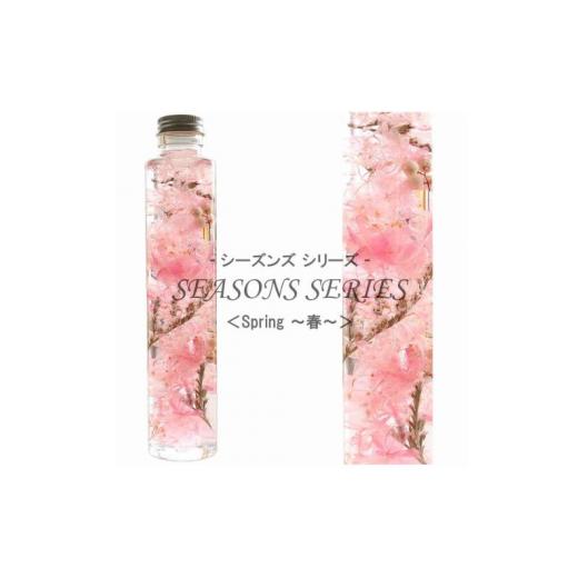 ふるさと納税 雑貨・日用品 インテリア 兵庫県 川西市 No.014-01 四季のハーバリウム〜 SEASONS SERIES 〜 Spring(春) Spring (春)