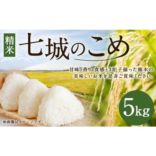 ふるさと納税 米 ヒノヒカリ 熊本県 菊池市 七城のこめ 精米 5kg ヒノヒカリ ひのひかり[30日以内に出荷予定(土日祝を除く)] 白米 九州産 熊本県産
