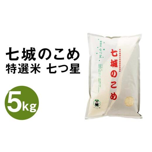 ふるさと納税 米 ヒノヒカリ 熊本県 菊池市 七城のこめ 特選米 七つ星 精米 5kg ヒノヒカリ [30日以内に出荷予定(土日祝を除く)] 白米 九州産 熊本県産
