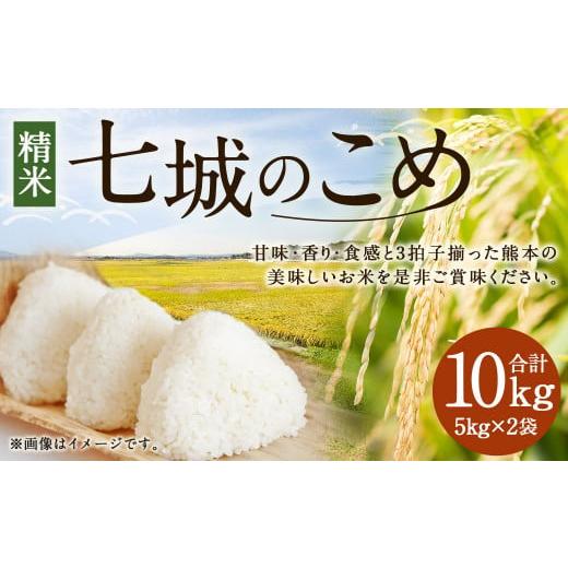 ふるさと納税 米 ヒノヒカリ 熊本県 菊池市 七城のこめ 精米 計10kg(5kg×2袋)ヒノヒカリ [30日以内に出荷予定(土日祝を除く)] 白米 九州産 熊本県産