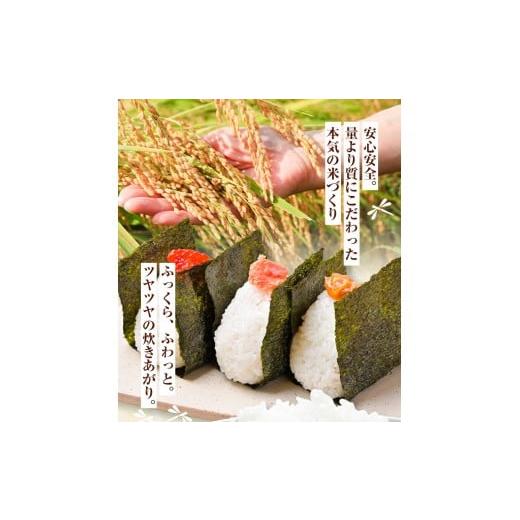 ふるさと納税 米 ヒノヒカリ 熊本県 菊池市 令和7年産 七城のこめ 精米 15kg(5kg×3袋) ヒノヒカリ ひのひかり 有限会社七城町特産品センター《30日以内に出荷…の画像