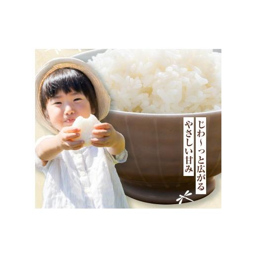 ふるさと納税 米 ヒノヒカリ 熊本県 菊池市 令和7年産 七城のこめ 精米 15kg(5kg×3袋) ヒノヒカリ ひのひかり 有限会社七城町特産品センター《30日以内に出荷…の画像