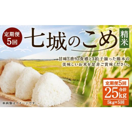 ふるさと納税 米 ヒノヒカリ 熊本県 菊池市 5ヶ月定期便 七城のこめ 精米 計25kg(5kg×5回)ヒノヒカリ [お申込みの翌月から出荷予定]白米 お米 米 おこめ…