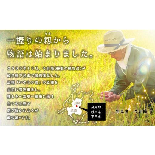【早い者勝ち】 ふるさと納税 岐阜県 下呂市 新米【2023年産米】【定期便】3kg×12回 飛騨産・龍の瞳（いのちの壱）株式会社龍の瞳直送 白米 精米 3キロ×12か月（計 36キロ） 【2893698173】(101920円)