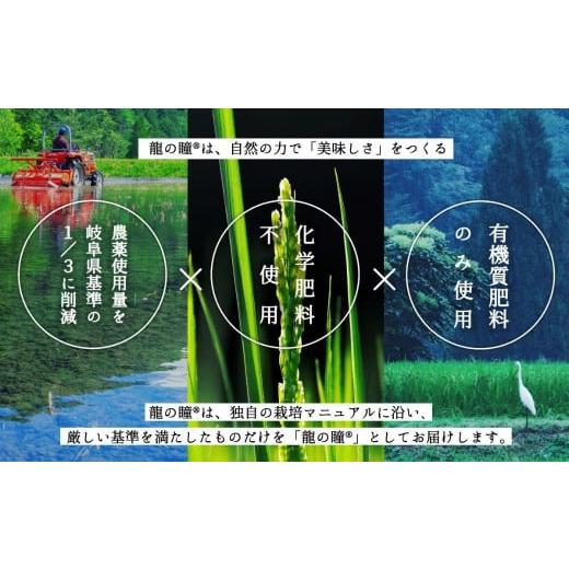 【早い者勝ち】 ふるさと納税 岐阜県 下呂市 新米【2023年産米】【定期便】3kg×12回 飛騨産・龍の瞳（いのちの壱）株式会社龍の瞳直送 白米 精米 3キロ×12か月（計 36キロ） 【2893698173】(101920円)