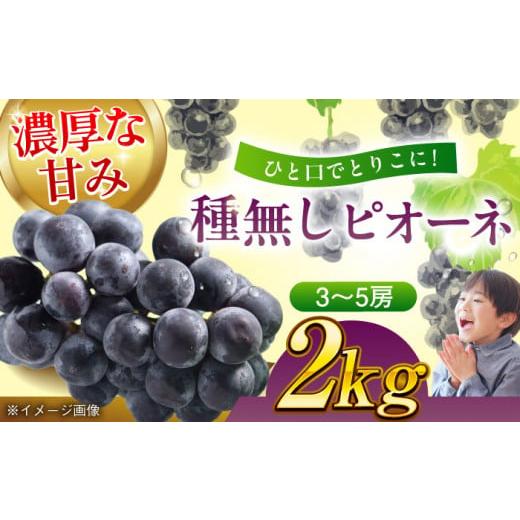 ふるさと納税 果物類 ぶどう 愛媛県 大洲市 ぶどう 先行予約 2026年8月下旬より順次発送 種無し ピオーネ 2kg (3〜5房) 愛媛県大洲市/沢井青果 AGBN014 ぶ…