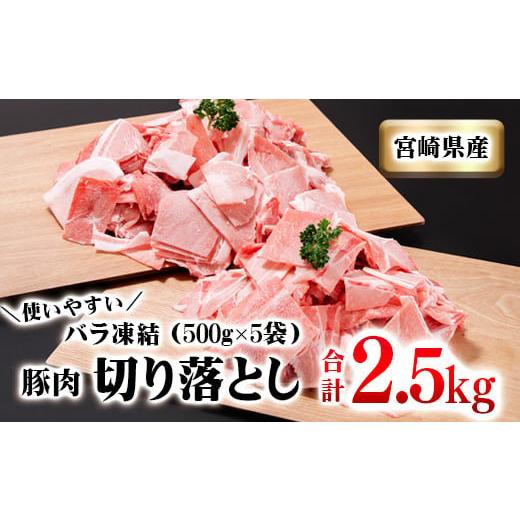 ふるさと納税 宮崎県 西都市 宮崎県産豚肉 2.5kg 小間切れ 小分け5パック[1-211]