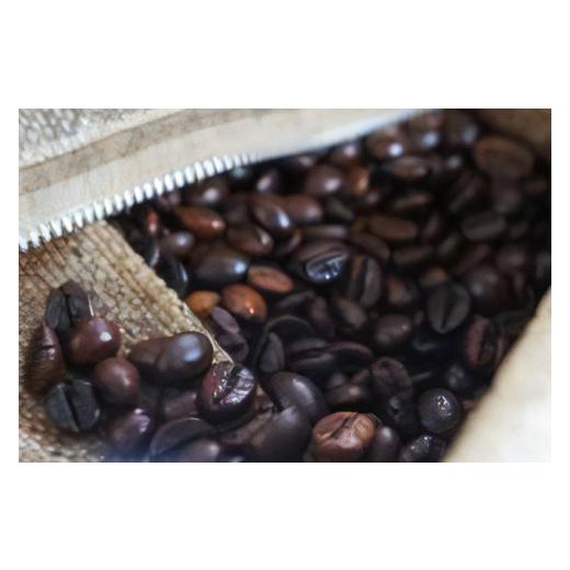 ふるさと納税 コーヒー コーヒー豆 大阪府 泉大津市 自家焙煎レギュラーコーヒー モカブレンド 400g×2袋入り(豆のまま) 当社で焙煎仕立てのコーヒー豆をお届…