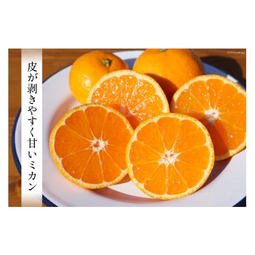 ふるさと納税 果物類 みかん 宮崎県 日向市 期間限定発送 みかん ふるさと納税 果物類 みかん 宮崎県 日向市 期間限定発送 みかん