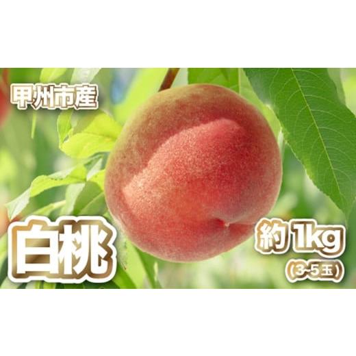 ふるさと納税 もも 山梨県 甲州市 産直 甲州市 白桃 約1kg 50年以上受継ぐ目利き力 2026年発送 (PJ)B-166 白桃 桃 もも モモ 令和8年発送 期間限定 山梨県…