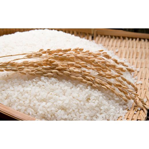 ふるさと納税 北海道 壮瞥町 [No.5724-0453]◆令和5年産新米◆新山米(ななつぼし)5kg×2袋 10kg 隔月2回お届け ななつぼし 5kg×2袋