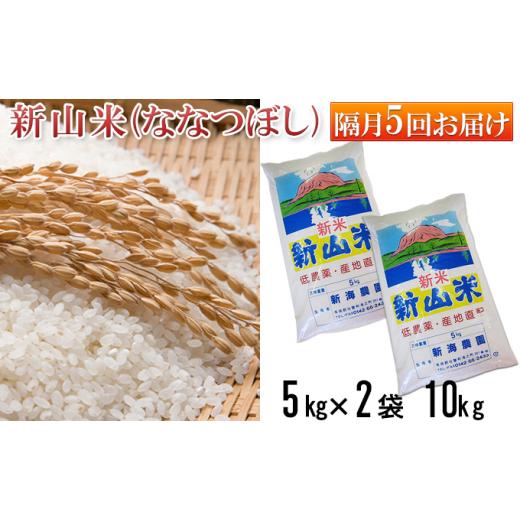 完動品 ふるさと納税 北海道 壮瞥町 [No.5724-0456]◆令和5年産新米◆新山米(ななつぼし)5kg×2袋 10kg 隔月5回お届け 【JSB9744084061】(34320円)