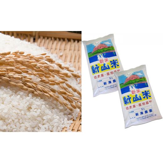 完動品 ふるさと納税 北海道 壮瞥町 [No.5724-0456]◆令和5年産新米◆新山米(ななつぼし)5kg×2袋 10kg 隔月5回お届け 【JSB9744084061】(34320円)