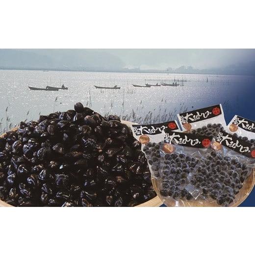 ふるさと納税 魚貝類 しじみ 島根県 出雲市 定期便 3回 神西湖産 大和 しじみ 1.25kg (250g×5パック) | 大和 しじみ 蜆 貝 大和蜆 砂抜き 冷凍 真空 小分け…