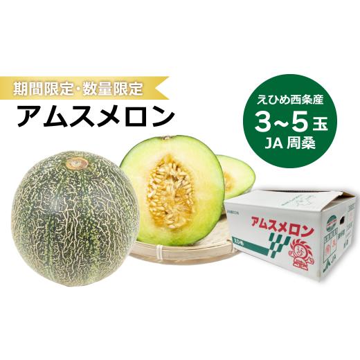 ふるさと納税 愛媛県 西条市 アムスメロン （JA周桑） 3〜5玉入り　期間限定 数量限定 2024年6月発送   【オンライン決済限定】｜furusatochoice｜02