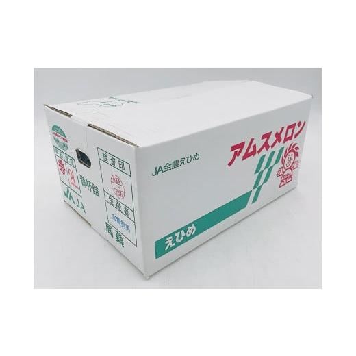 ふるさと納税 愛媛県 西条市 アムスメロン （JA周桑） 3〜5玉入り　期間限定 数量限定 2024年6月発送   【オンライン決済限定】｜furusatochoice｜04