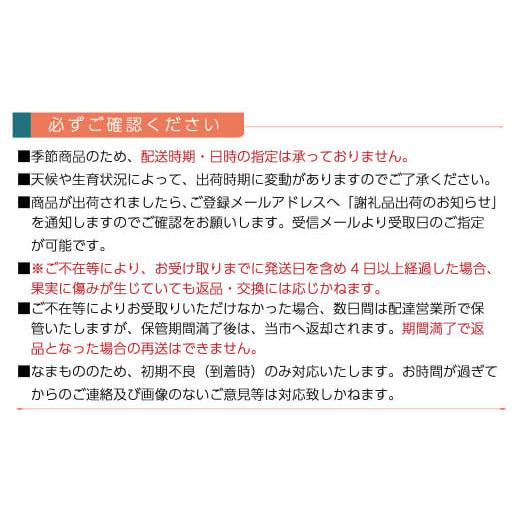 ふるさと納税 愛媛県 西条市 アムスメロン （JA周桑） 3〜5玉入り　期間限定 数量限定 2024年6月発送   【オンライン決済限定】｜furusatochoice｜05